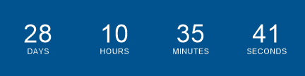 Sale Countdown Timer
