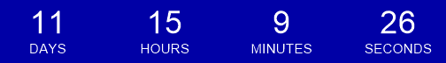 Sale Countdown Timer