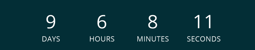 Global Cat Day Countdown