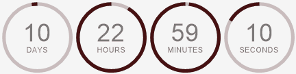 Countdown Timer