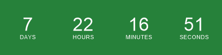 Sale Countdown Timer