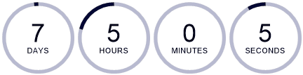 Sale countdown timer