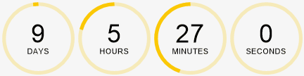 Sale countdown timer