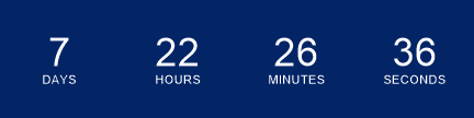 Sale Countdown Timer